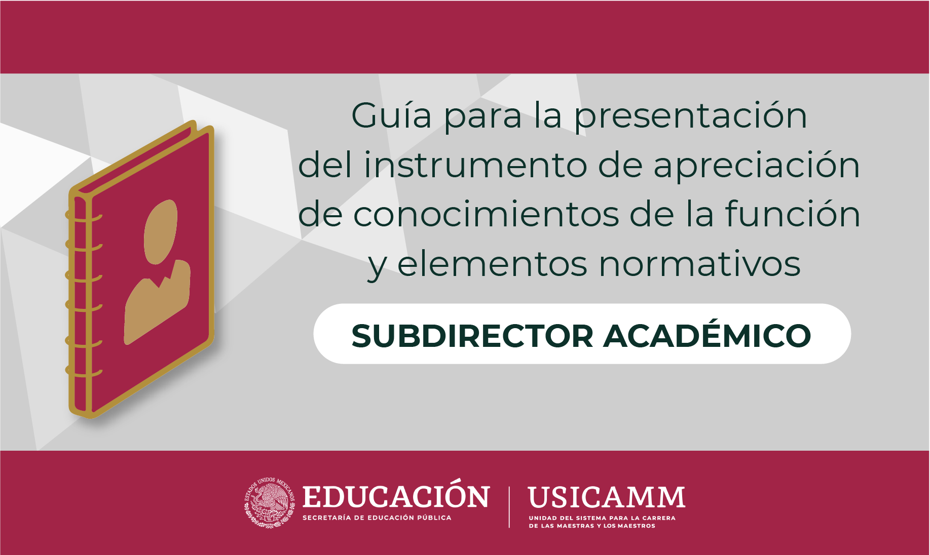 Guia Subdirector EMS